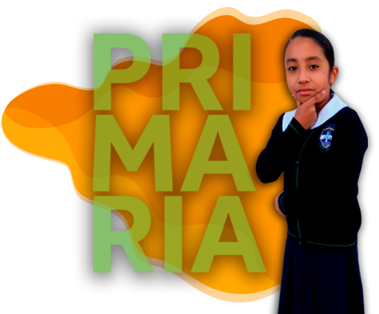 Primaria